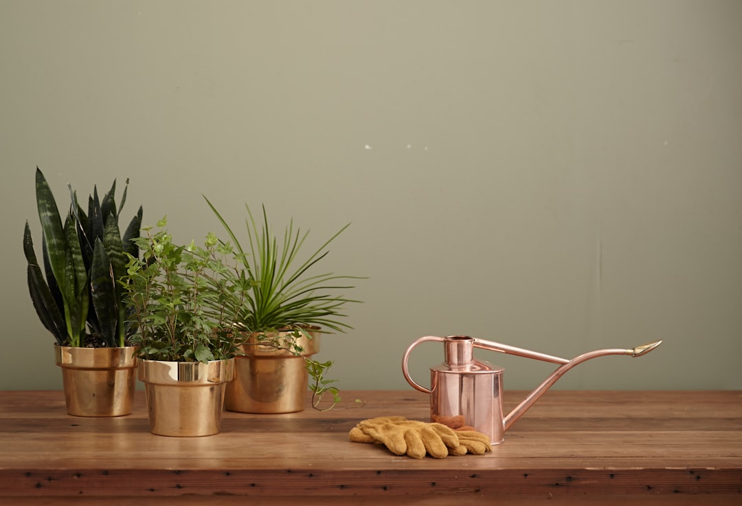 Photo Watering can