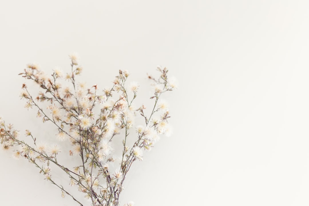 Photo Flower arrangement