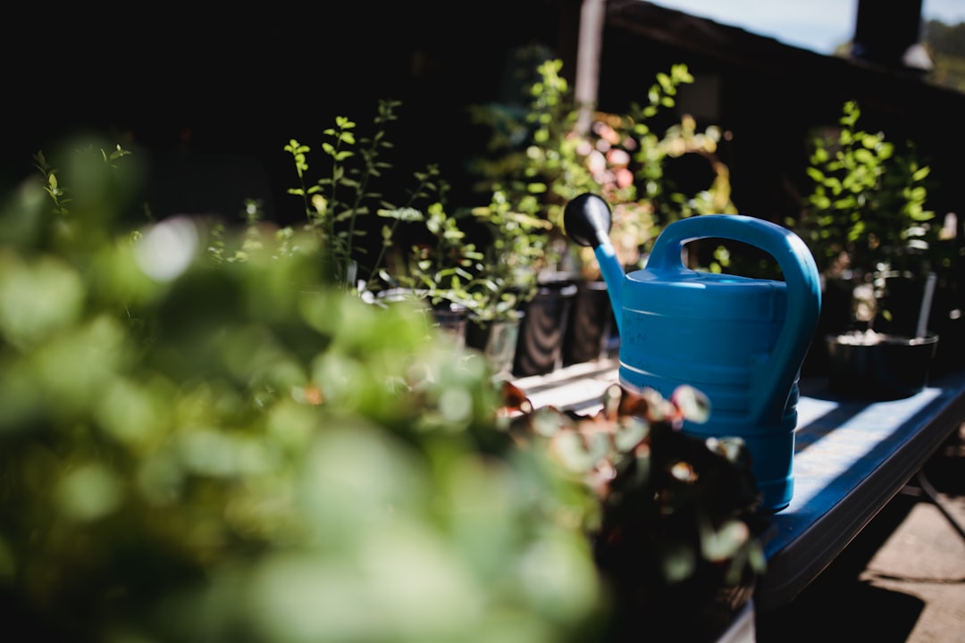 Photo Watering can