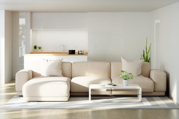 Decor scandinav pentru living