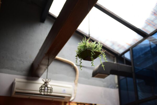 Ventilația naturală a casei: Cum să proiectezi o circulație de aer eficientă