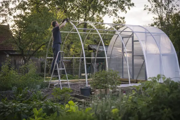 Modele de solarii pentru legume: cum să alegi dimensiunea și structura potrivită