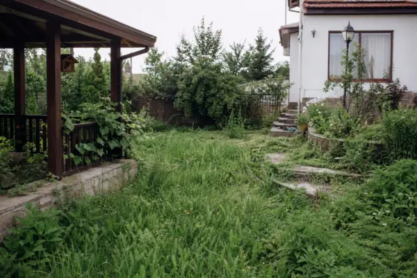 De unde începi amenajarea unei grădini neîngrijite